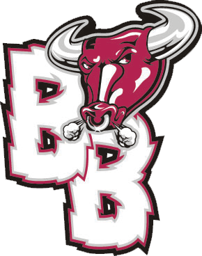 Bundaberg Bulls